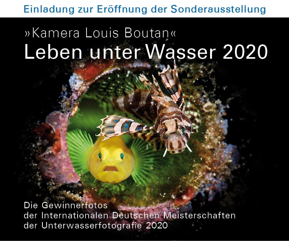 Leben unter Wasser 2020